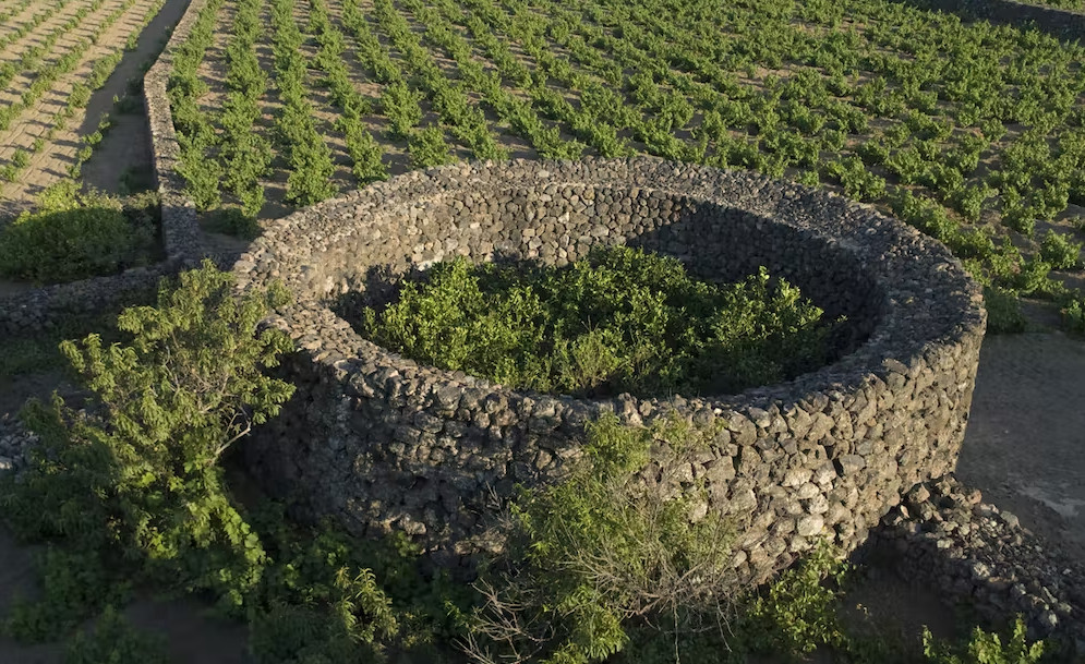 Le bellezze d’Italia si mostrano nelle “Giornate Fai d’Autunno” Le bellezze d’Italia si mostrano nelle “Giornate Fai d’Autunno”