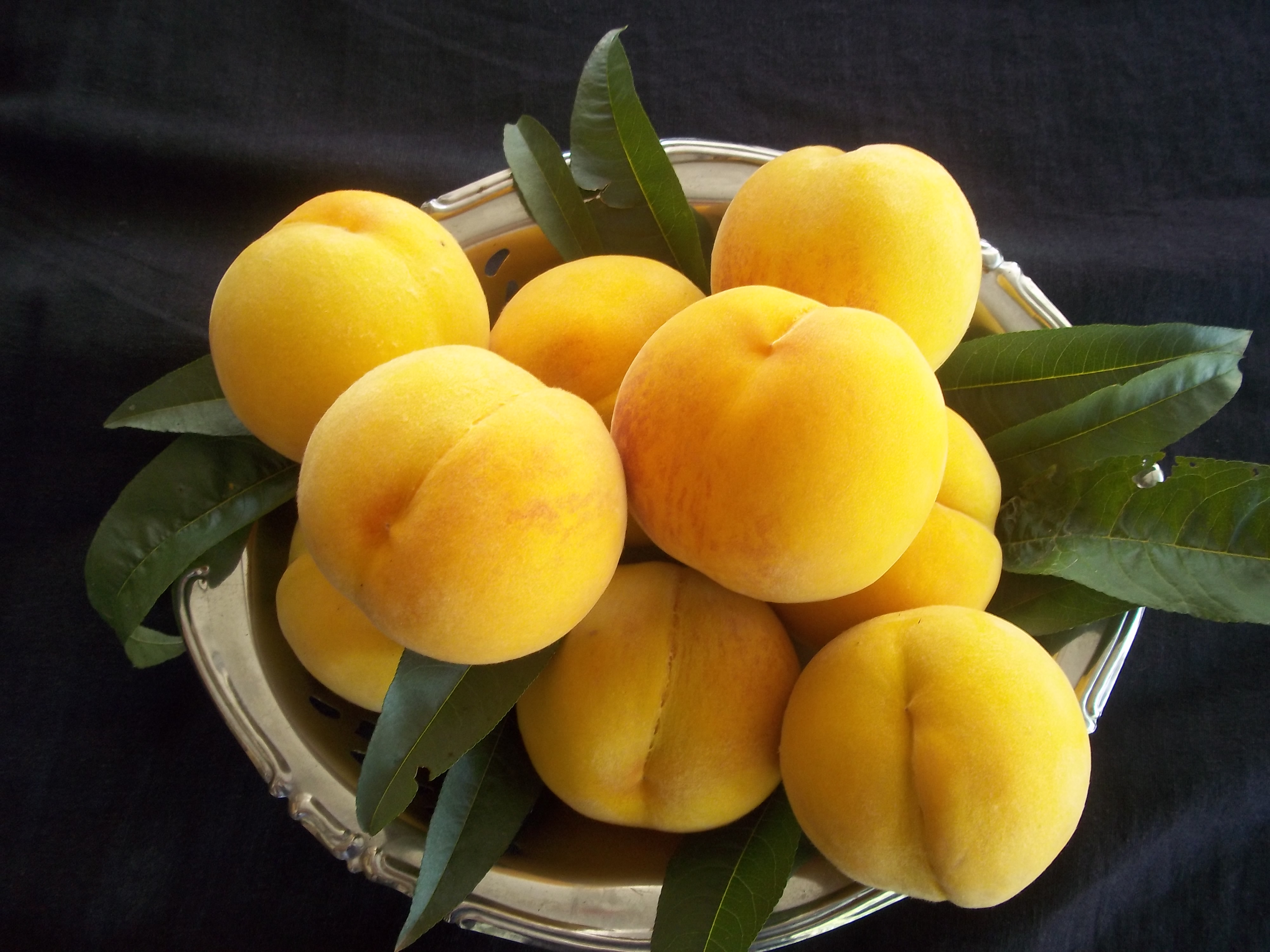 Pesca di Leonforte, il riconoscimento Igp è solo l’inizio