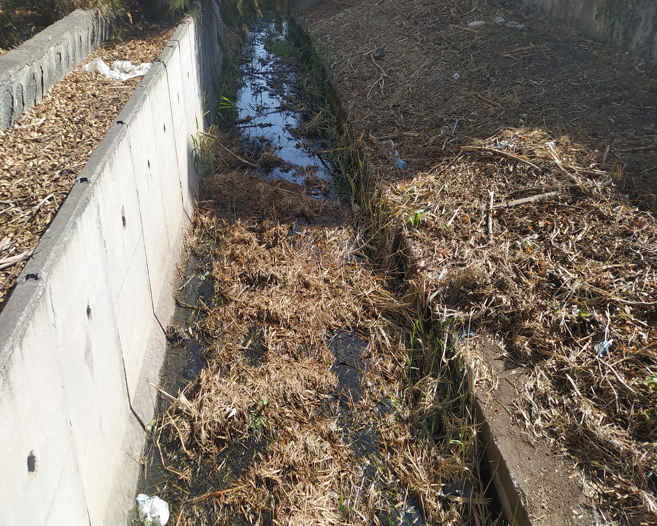 Catania, rischio alluvioni: torrenti puliti a singhiozzo FOTO e VIDEO