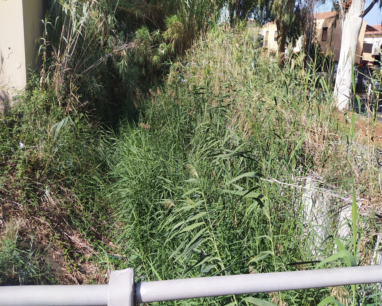 Catania, rischio alluvioni: torrenti puliti a singhiozzo FOTO e VIDEO