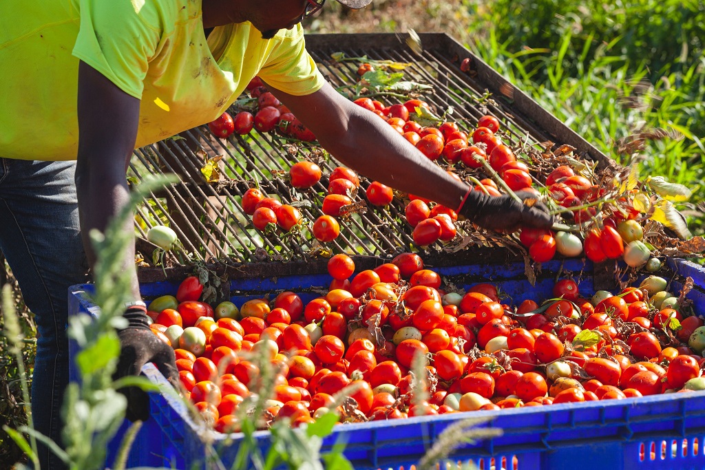 È un disonesto chi sfrutta i dipendenti
