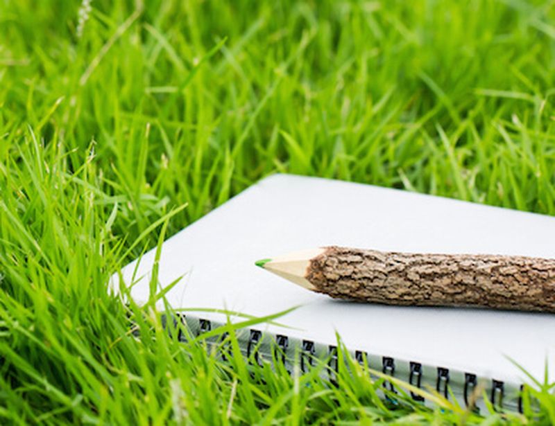 Siracusa, il rispetto per l’ambiente parte dai banchi di scuola