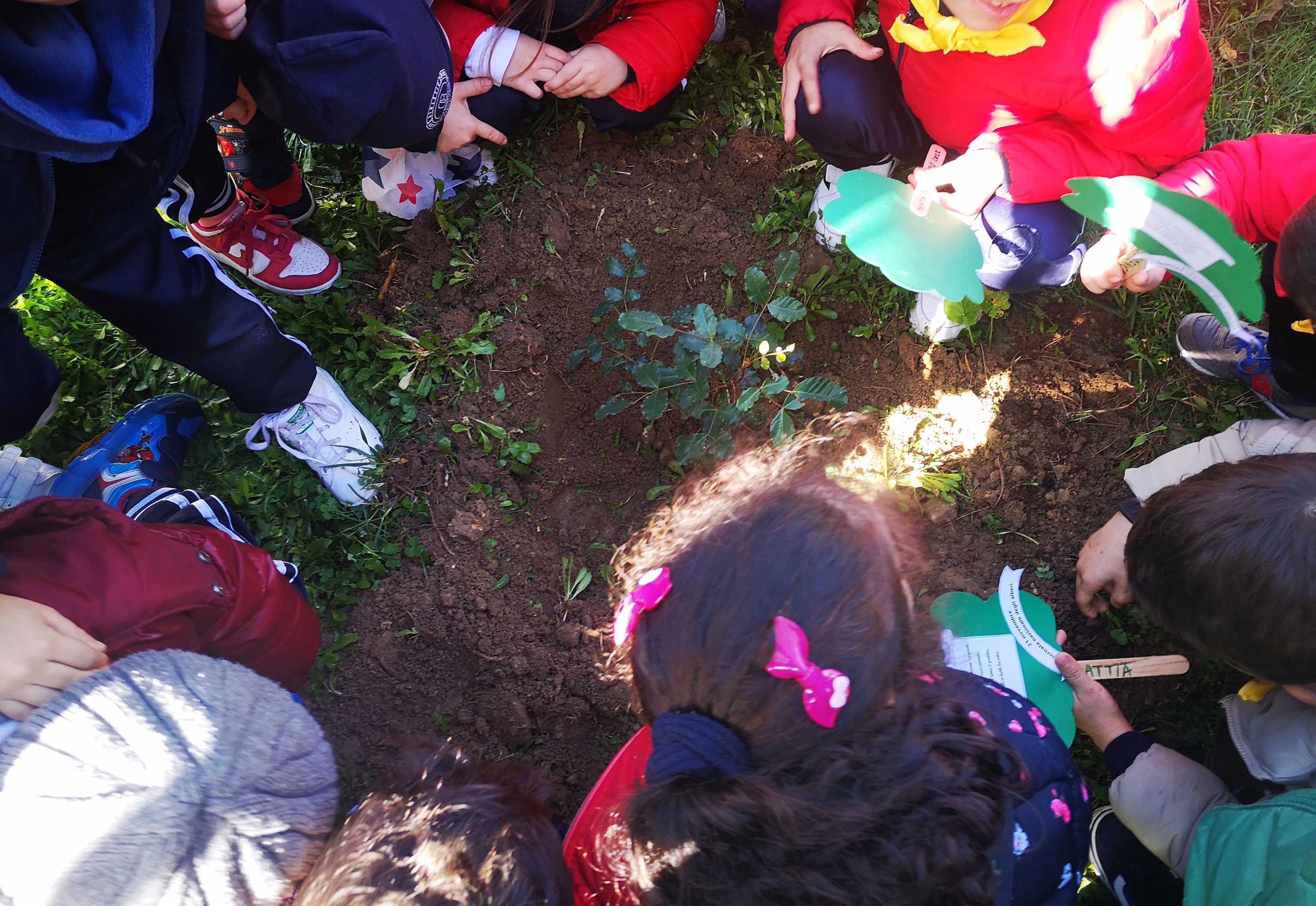 Ad Agira un’iniziativa di UniCt per la valorizzazione del verde