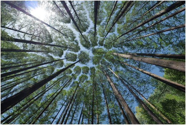 Un nuovo concetto di Umanesimo