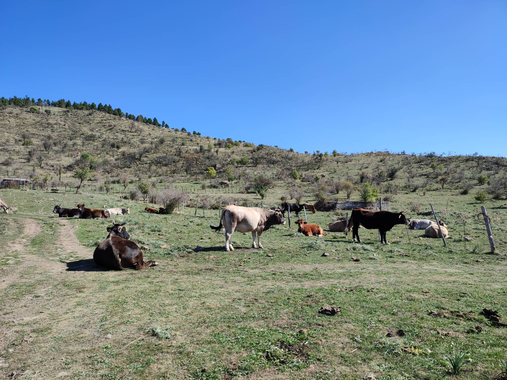 Etna, il vulcano patrimonio Unesco e lo spettacolo dei colori dell’autunno Etna, il vulcano patrimonio Unesco e lo spettacolo dei colori dell’autunno