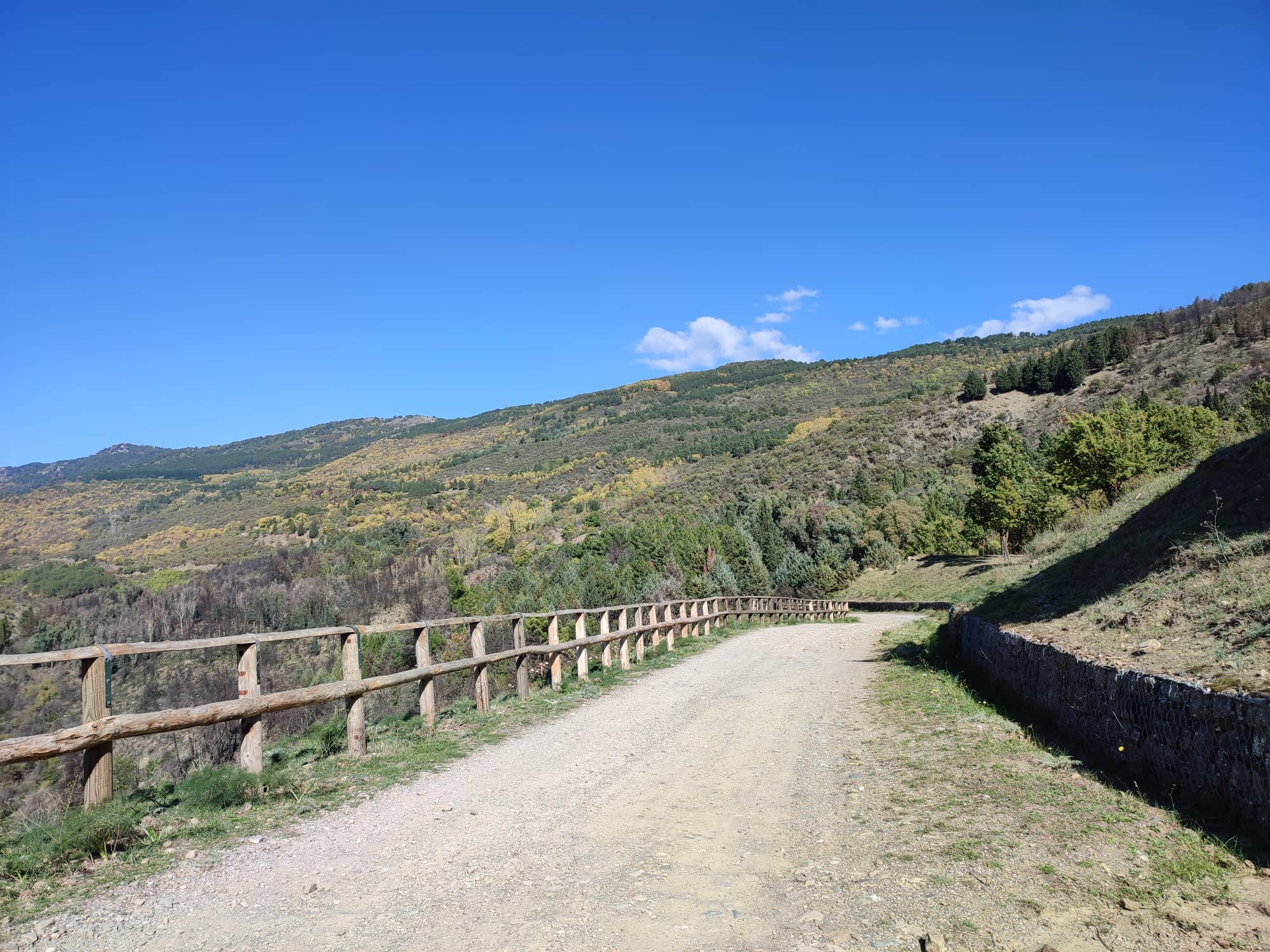 Etna, il vulcano patrimonio Unesco e lo spettacolo dei colori dell’autunno Etna, il vulcano patrimonio Unesco e lo spettacolo dei colori dell’autunno