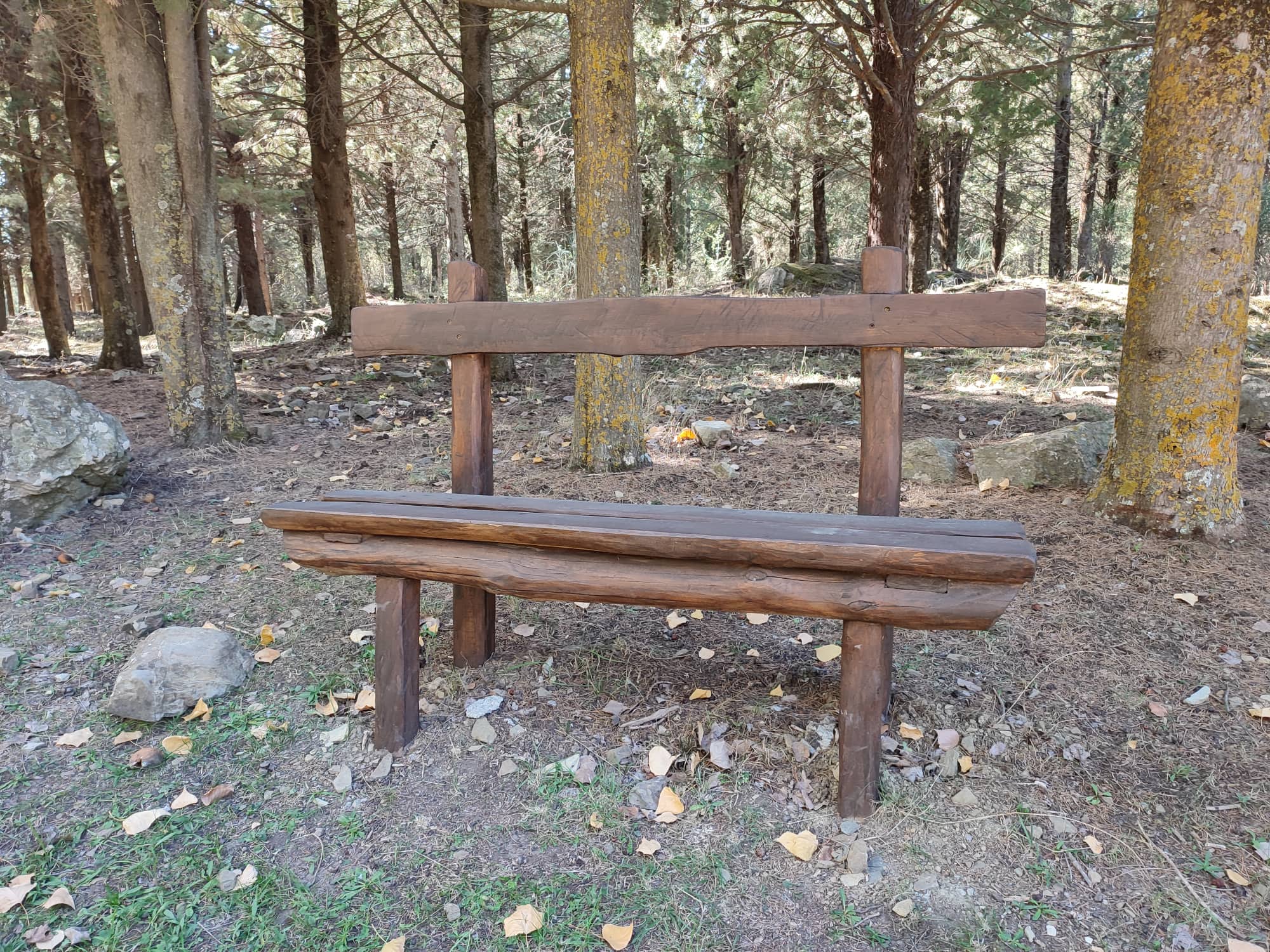 Etna, il vulcano patrimonio Unesco e lo spettacolo dei colori dell’autunno Etna, il vulcano patrimonio Unesco e lo spettacolo dei colori dell’autunno