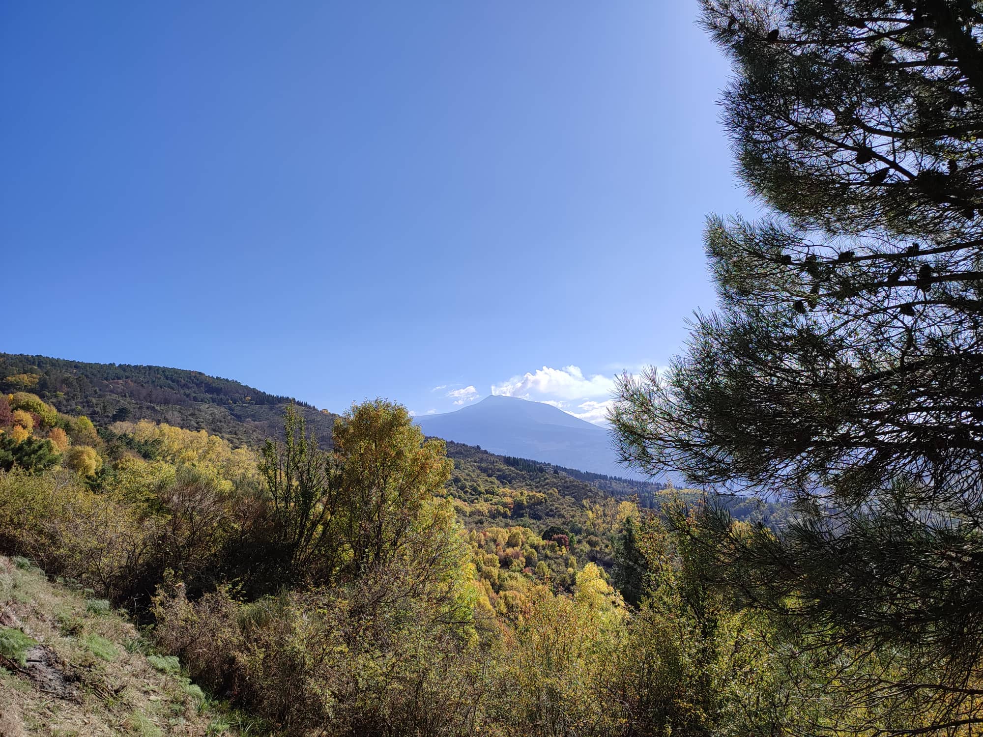 Etna, il vulcano patrimonio Unesco e lo spettacolo dei colori dell’autunno Etna, il vulcano patrimonio Unesco e lo spettacolo dei colori dell’autunno