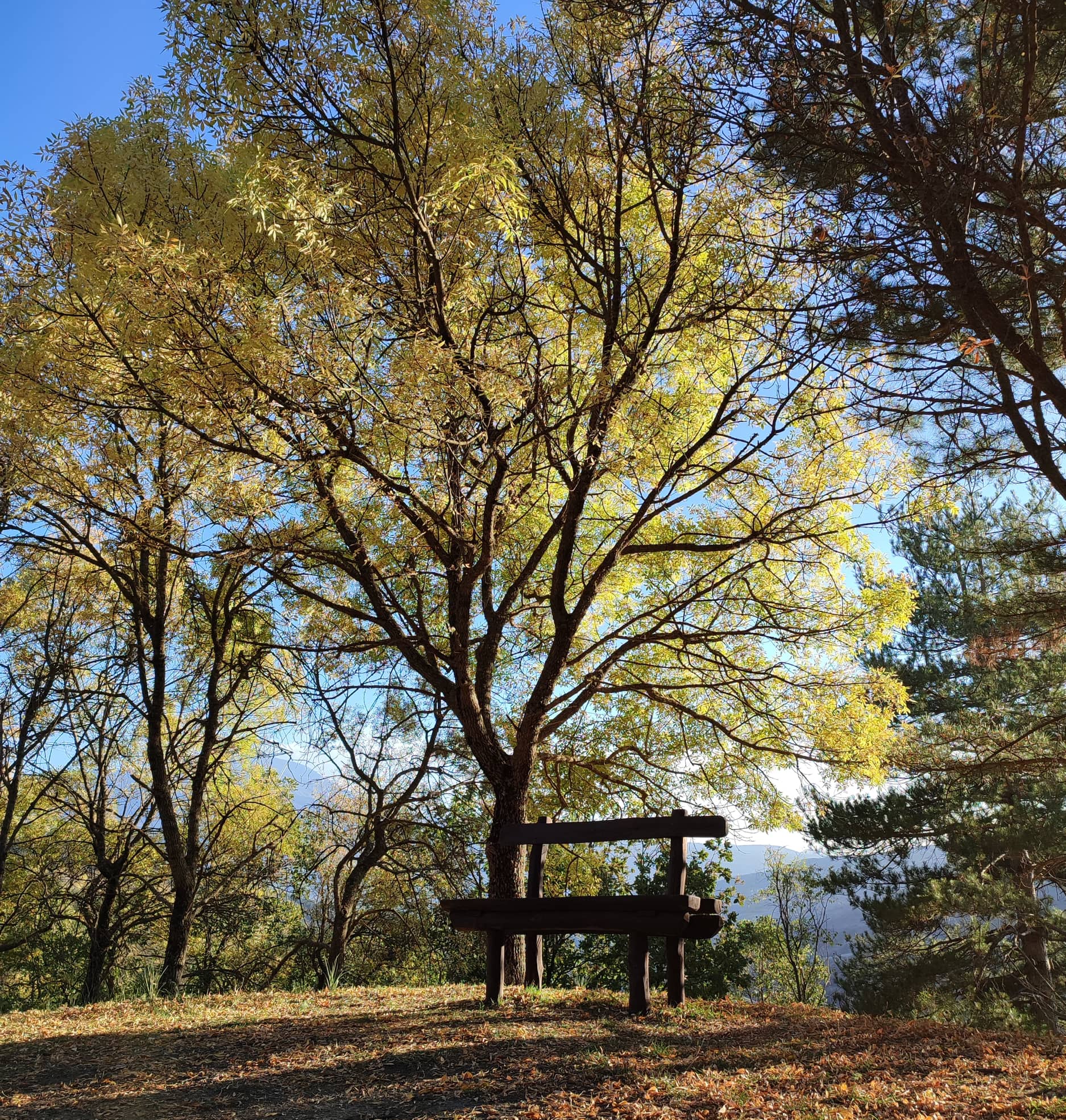 Etna, il vulcano patrimonio Unesco e lo spettacolo dei colori dell’autunno Etna, il vulcano patrimonio Unesco e lo spettacolo dei colori dell’autunno