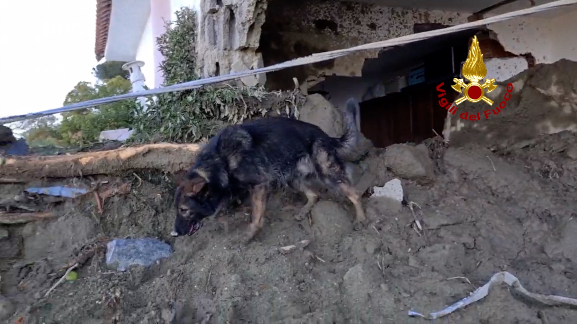 Ischia, 7 vittime accertate (anche un neonato) e continuano i soccorsi – FOTO e VIDEO