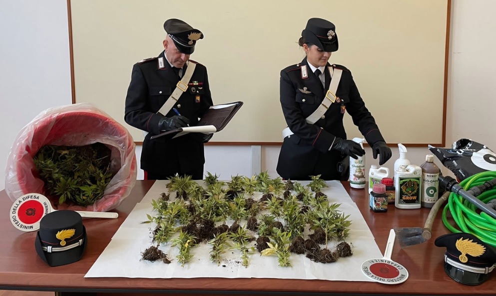 Fermati mentre coltivano le piante di marijuana nel Ragusano, arrestata giovane coppia tedesca