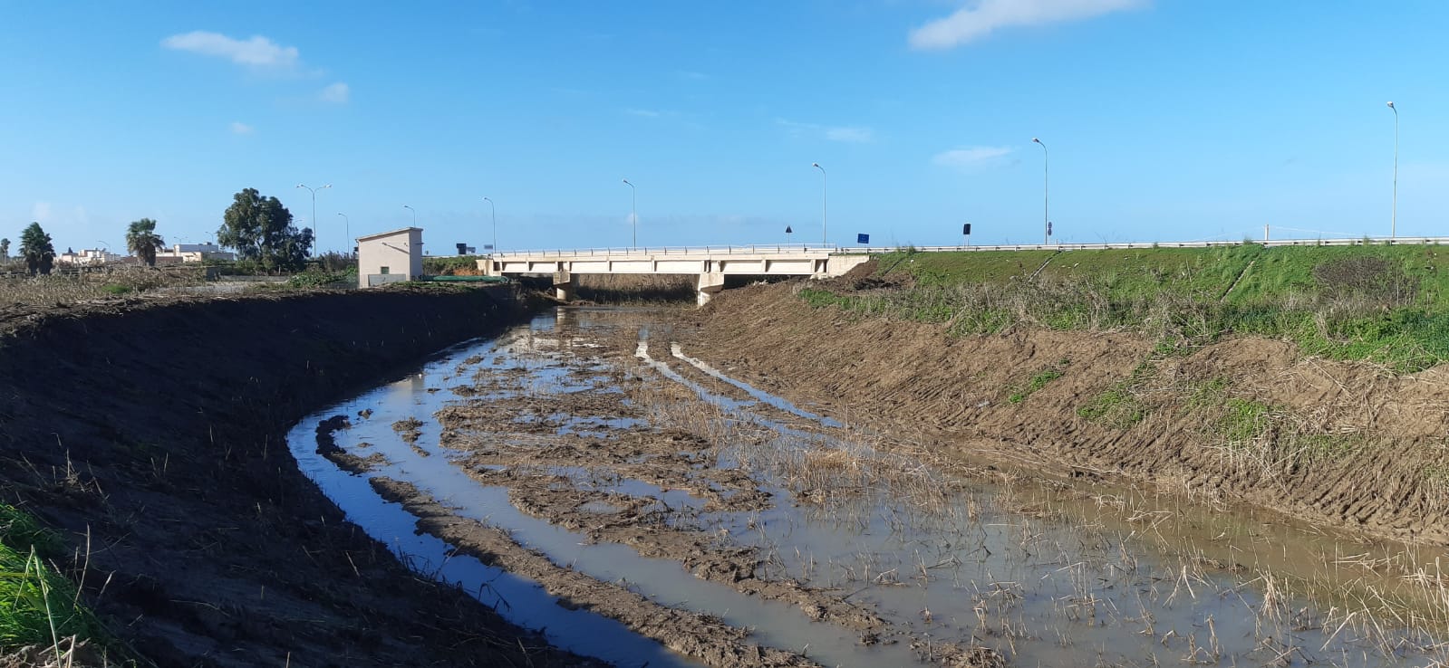 Maltempo, Schifani: “Proseguono iniziative per evitare esondazione fiumi e torrenti” Maltempo, Schifani: “Proseguono iniziative per evitare esondazione fiumi e torrenti”