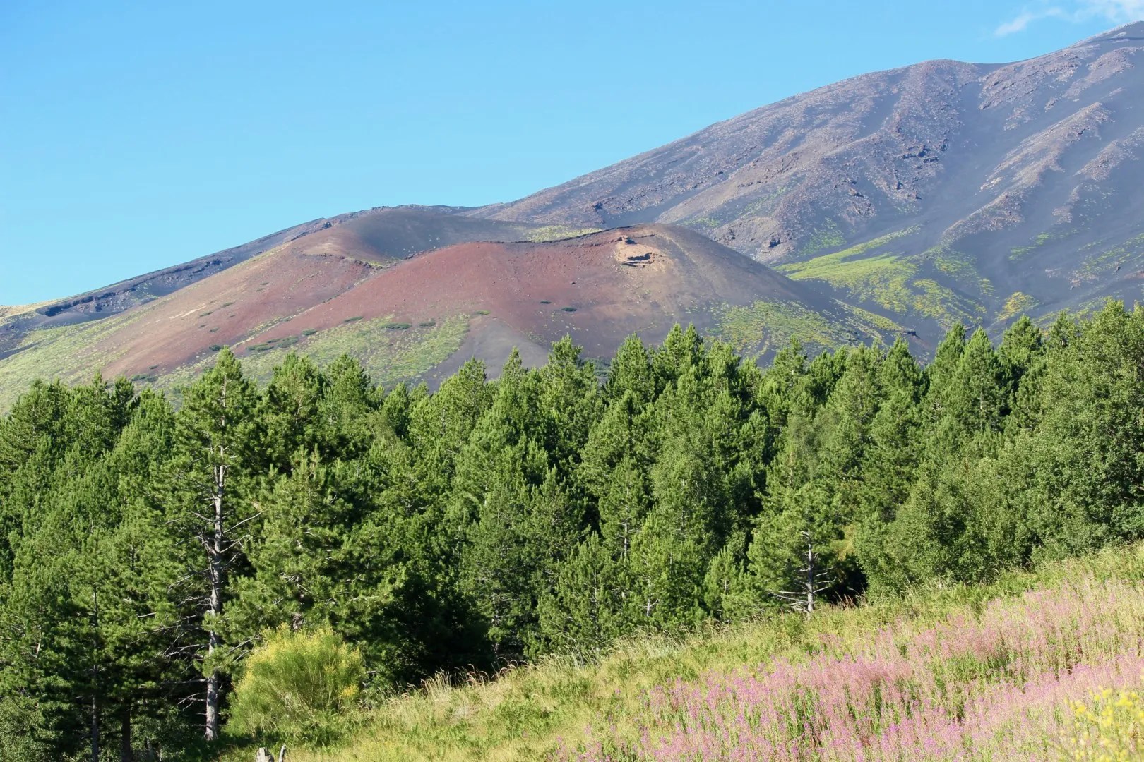 Etna, 150 alberi saranno piantati a Nicolosi. L’iniziativa è dell’associazione di Pneumologia