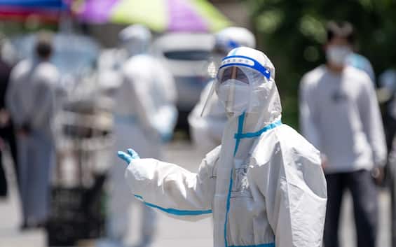 Covid: Oms “Continua calo nel mondo, record India +680% casi in 1 mese”