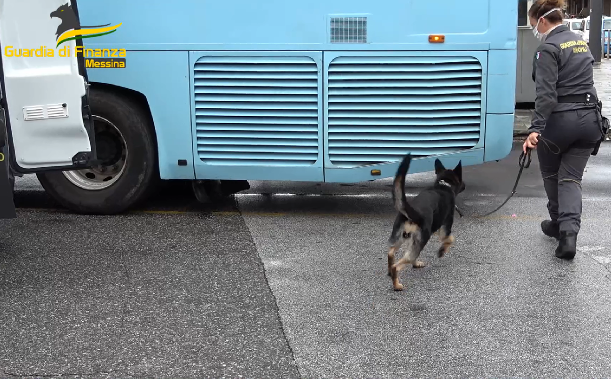 Al porto di Messina trovati oltre 10 chili tra cocaina e hashish: due arrestati