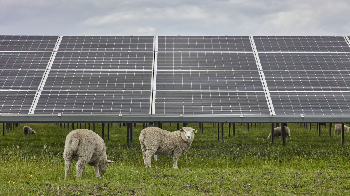 Transizione energetica col freno a mano tirato. Oltre 700 progetti in attesa di “Via” Statale