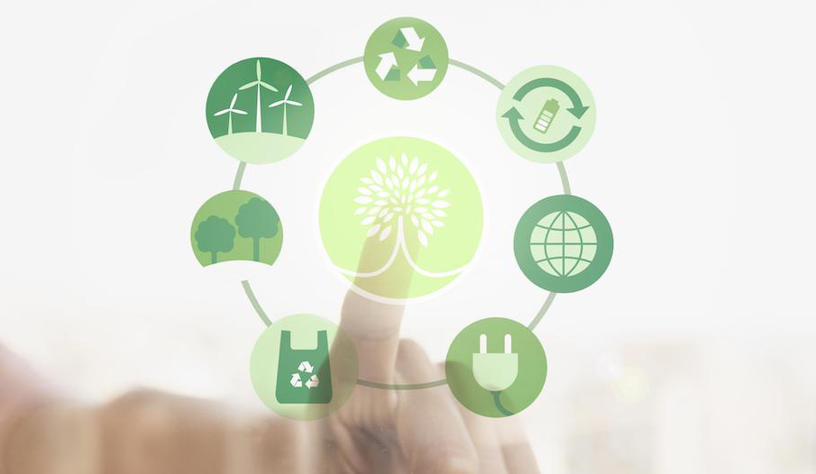 Transizione green, le imprese ci credono sempre di più