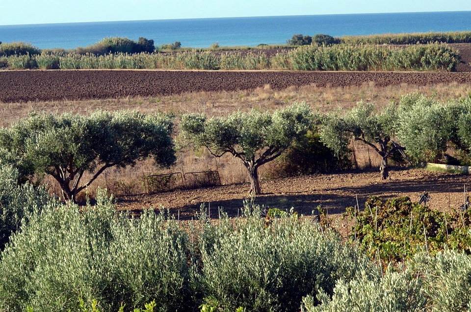 A Noto Marina un Hub rurale per innovazione e occupazione