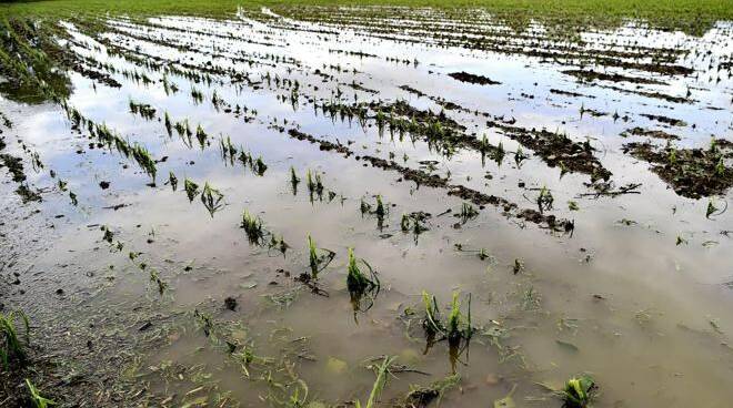 Maltempo, Coldiretti: “Già 134 eventi estremi a novembre, sbalzi termici creano danni”