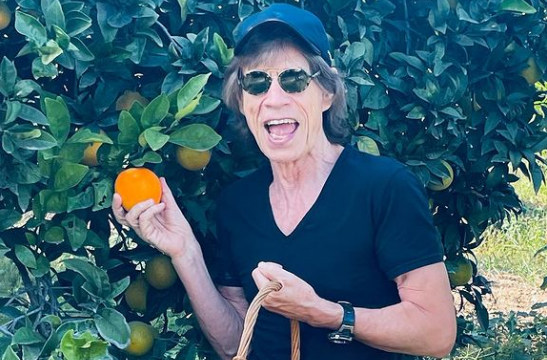 Mel Gibson in osteria, Mick Jagger tra le arance: parata di star e vip in Sicilia