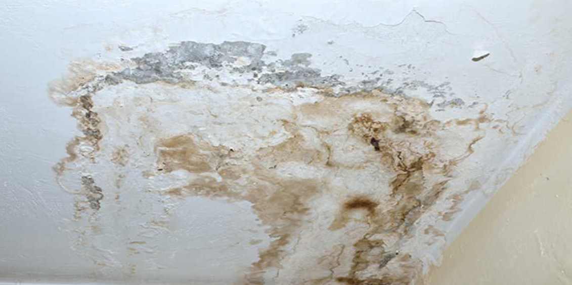 Muffa sui muri in casa, muore bimbo di due anni