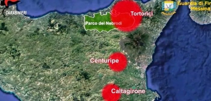 Sentenza storica contro la mafia dei pascoli, 91 condanne e 10 assoluzioni: oltre 600 anni di carcere