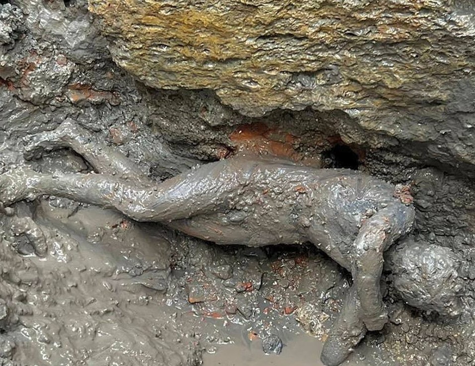 San Casciano dei Bagni, ritrovate oltre 20 statue di bronzo: “Scoperta più importante da Riace”