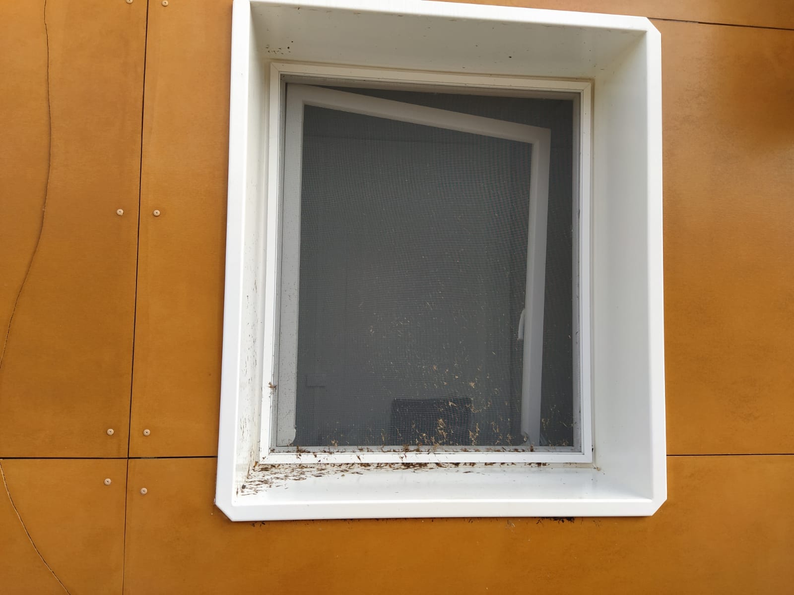 Vandali in azione a Mazara, danni alla stazione marittima