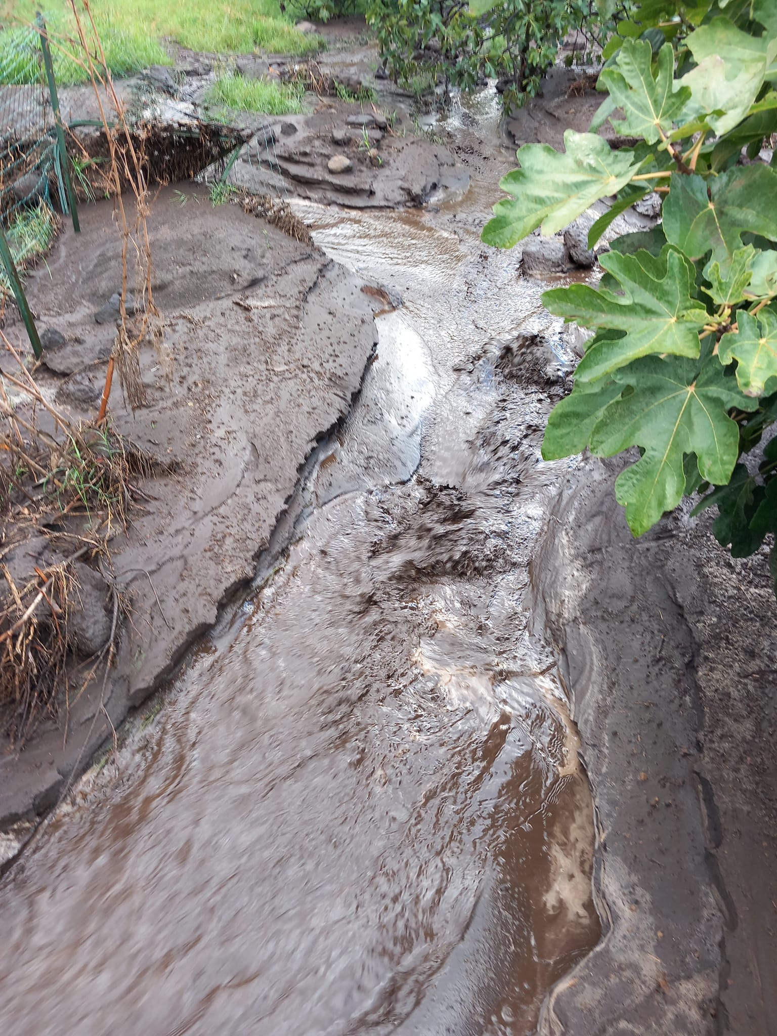 Maltempo, a Stromboli tornano le colate di fango e la rabbia: scene impressionanti Maltempo, a Stromboli tornano le colate di fango e la rabbia: scene impressionanti