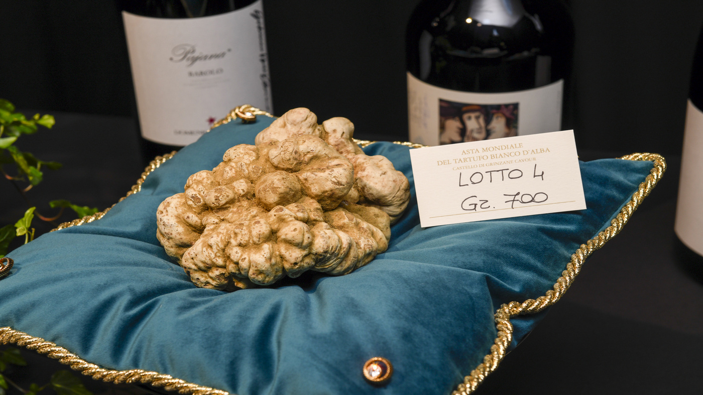 Asta mondiale del tartufo bianco da record, a Hong Kong lotto da 184mila euro