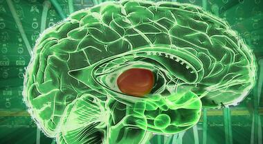 Vaccino sperimentale prolunga vita pazienti con tumore al cervello