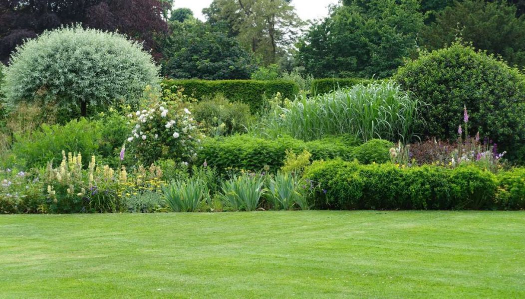 Oggi è la Giornata nazionale degli alberi: l’Italia festeggia con 6,6 milioni di nuove piante