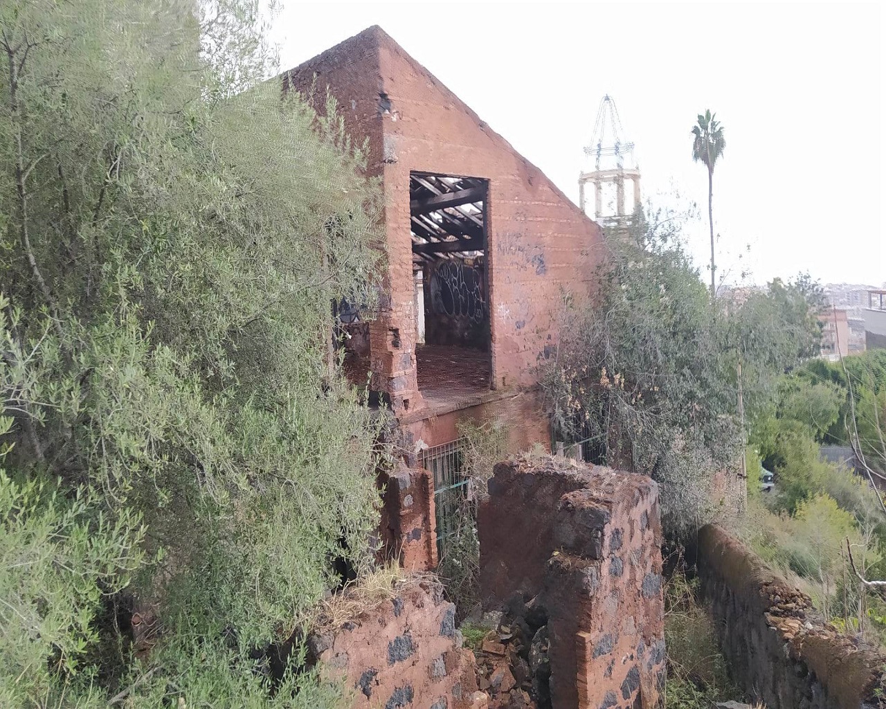 Catania città verde ma non troppo: ancora tanto da fare nei parchi per pulizia e vivibilità – FOTO