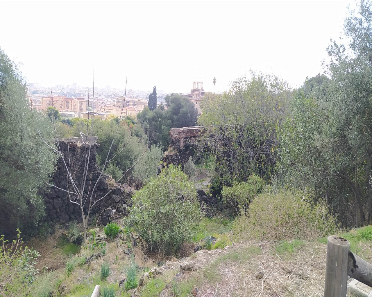 Catania città verde ma non troppo: ancora tanto da fare nei parchi per pulizia e vivibilità – FOTO