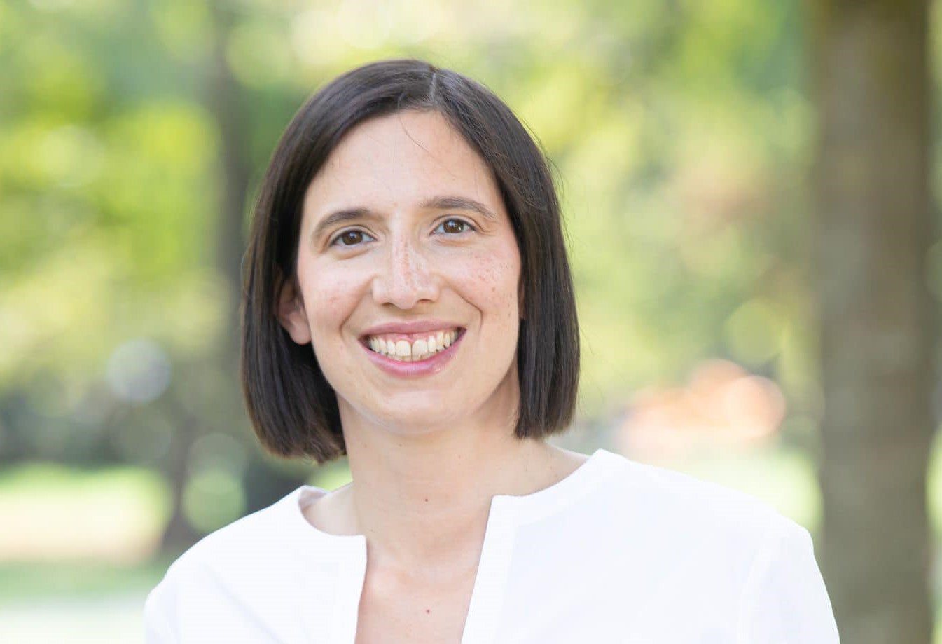 Vince Schlein, fine del PD?