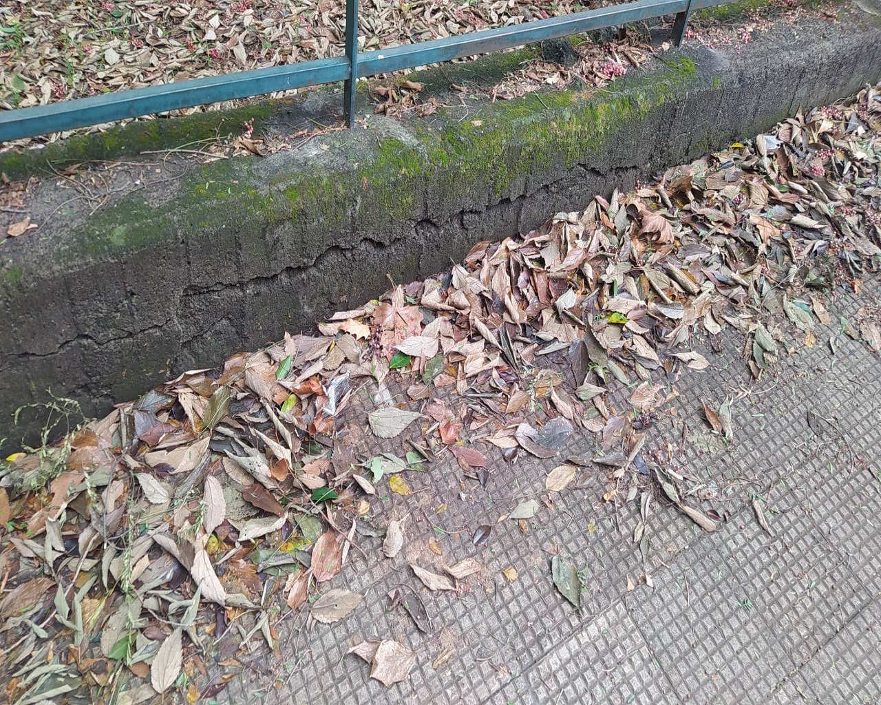 Catania città verde ma non troppo: ancora tanto da fare nei parchi per pulizia e vivibilità – FOTO