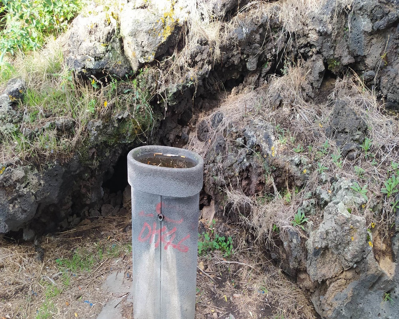 Catania città verde ma non troppo: ancora tanto da fare nei parchi per pulizia e vivibilità – FOTO