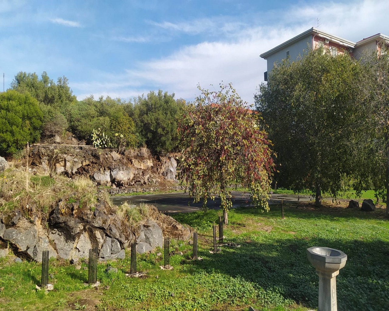 Catania città verde ma non troppo: ancora tanto da fare nei parchi per pulizia e vivibilità – FOTO
