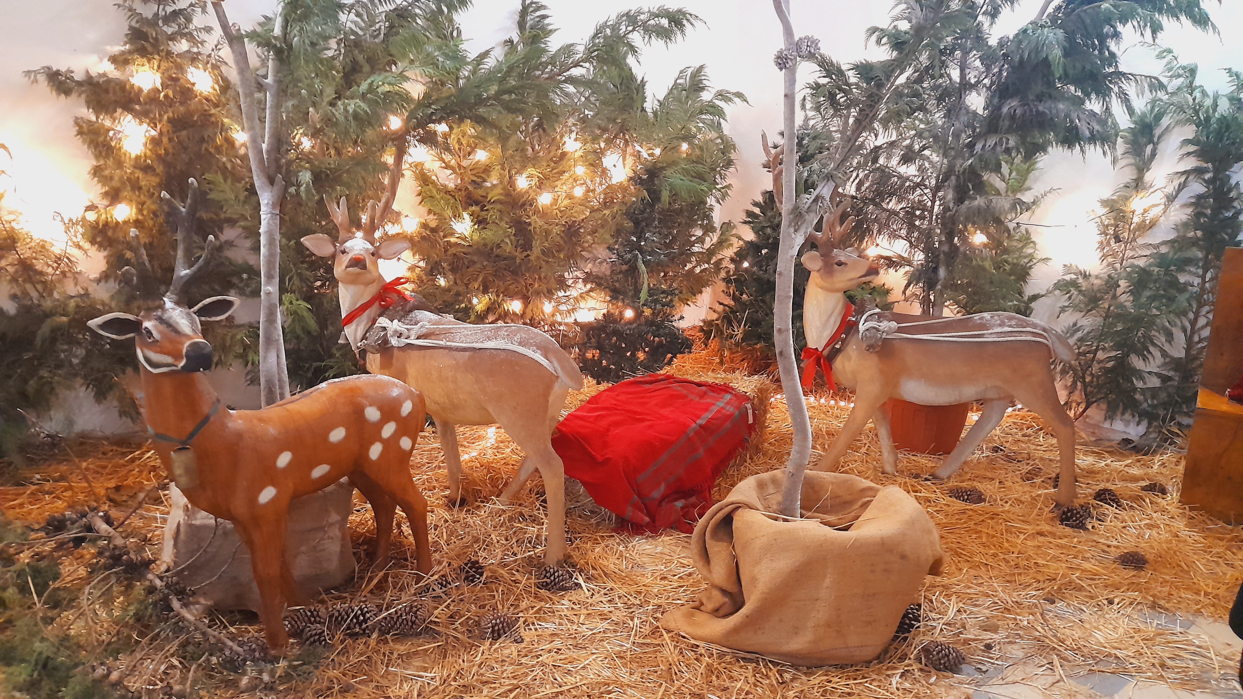 Cinisi, mercatino di Natale in memoria di Liana: ricavato in beneficenza