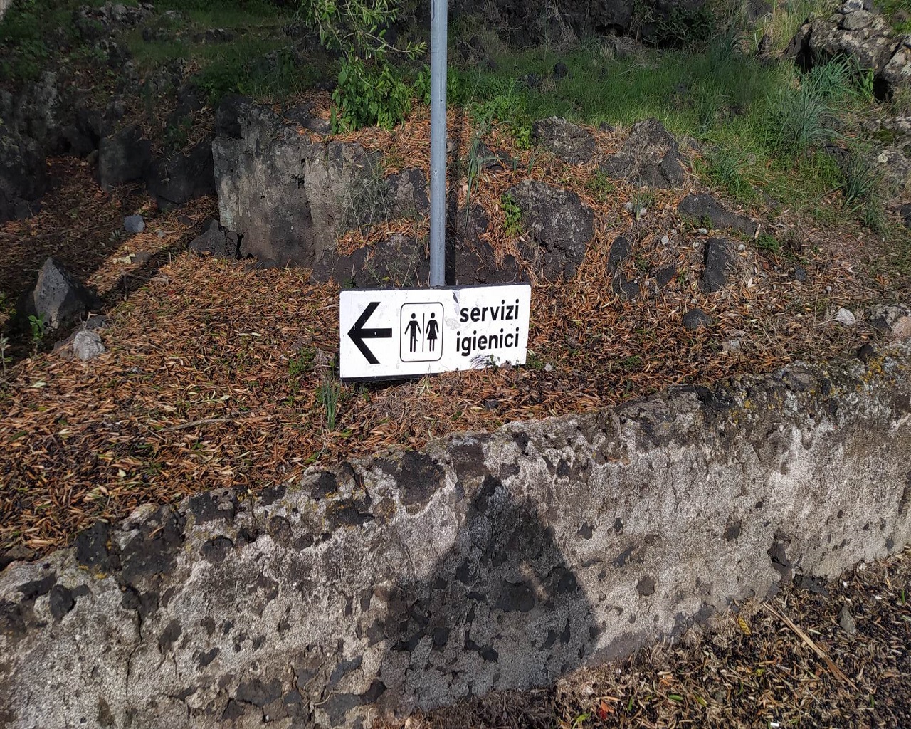 Catania città verde ma non troppo: ancora tanto da fare nei parchi per pulizia e vivibilità – FOTO