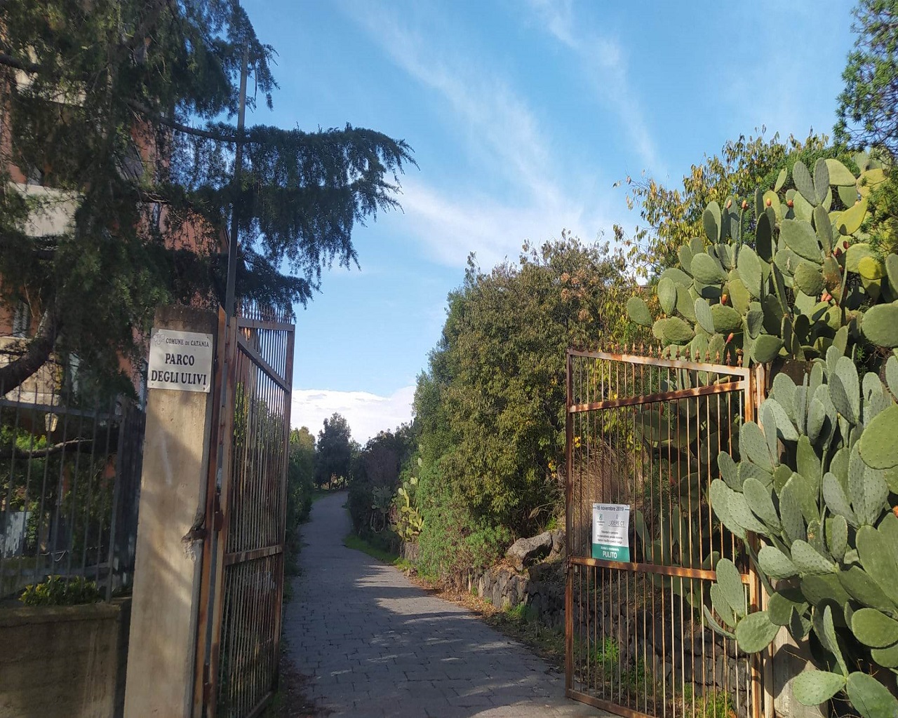 Catania città verde ma non troppo: ancora tanto da fare nei parchi per pulizia e vivibilità – FOTO