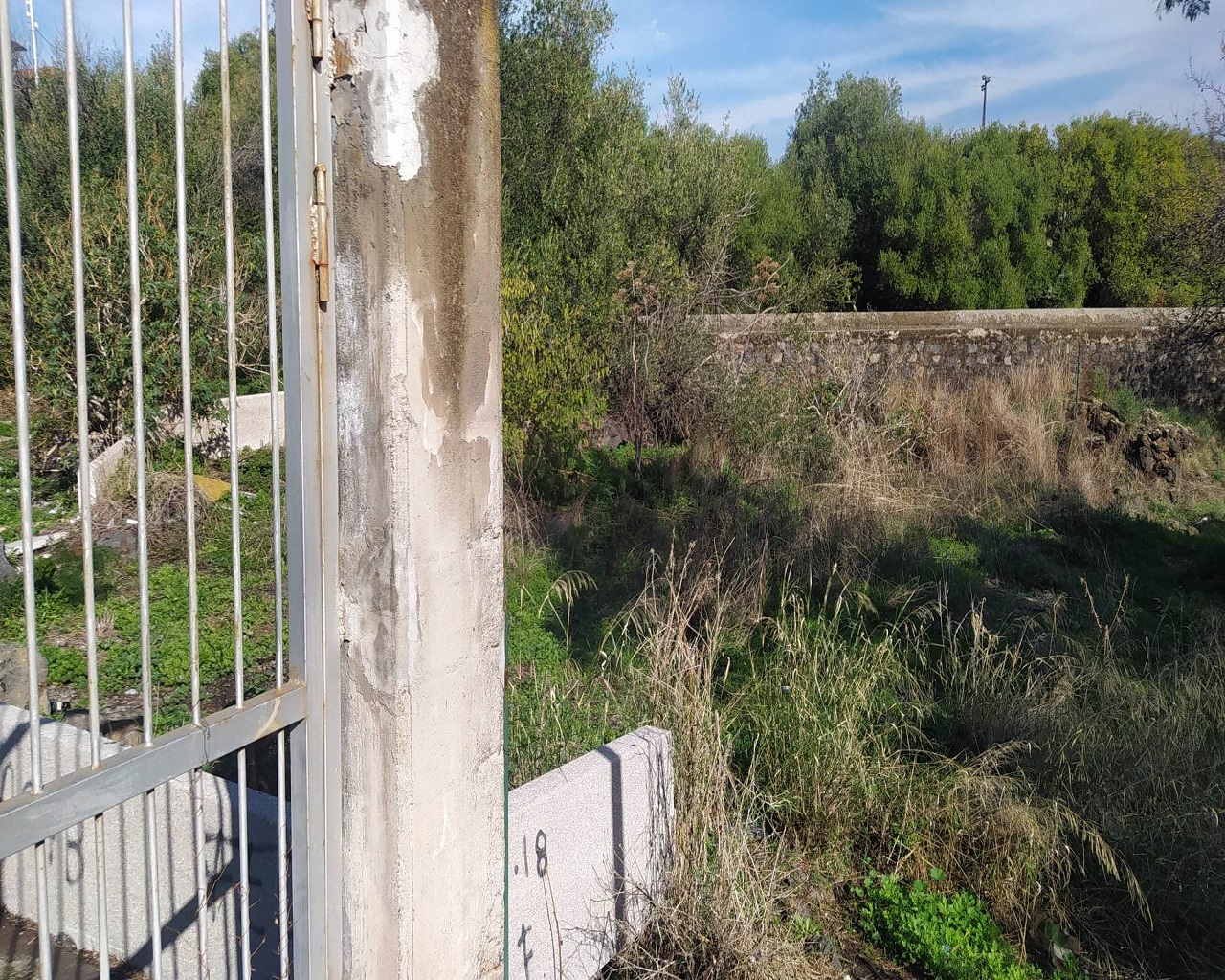 Catania città verde ma non troppo: ancora tanto da fare nei parchi per pulizia e vivibilità – FOTO