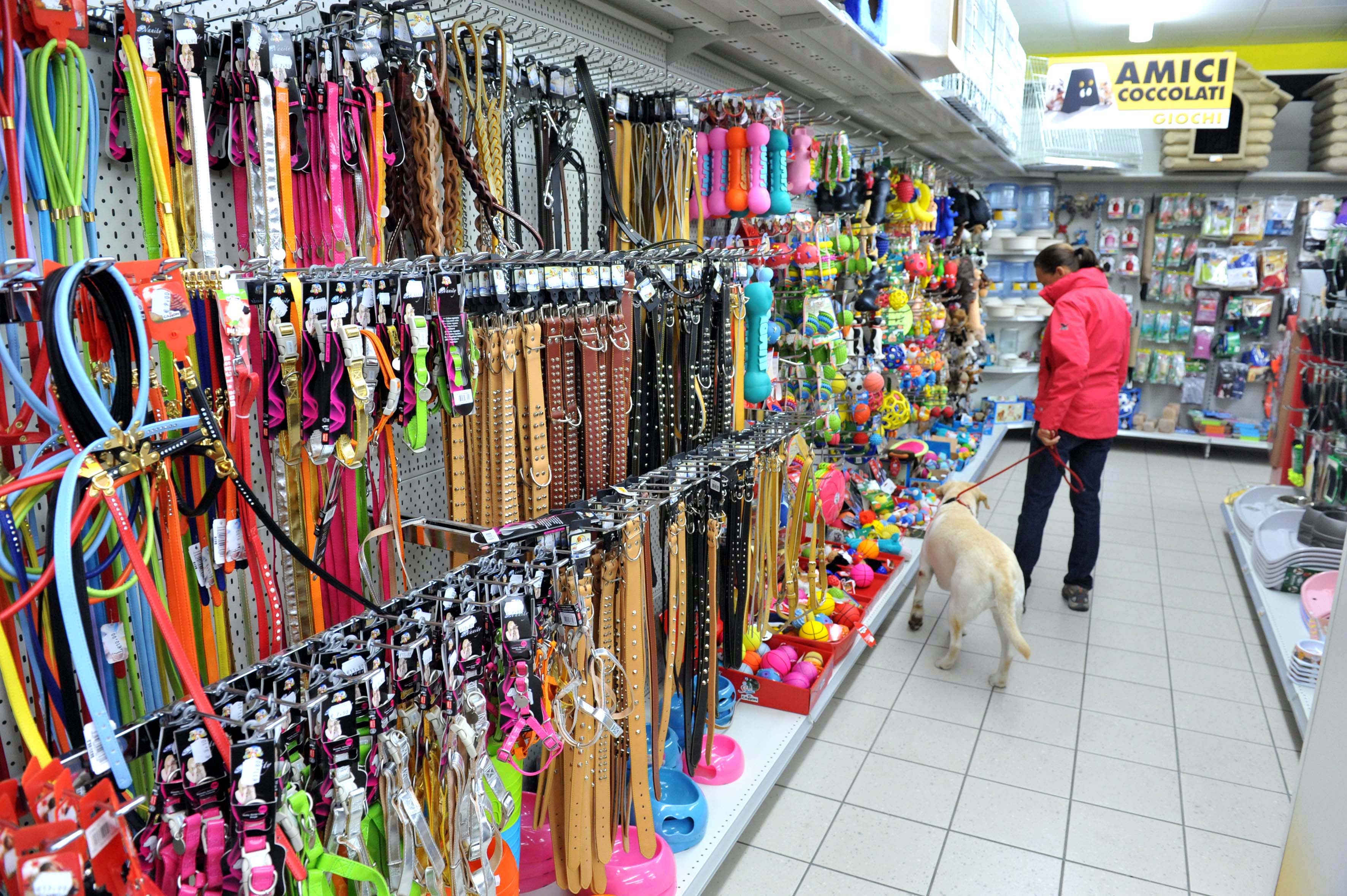 Natale: dallo spray con i glitter al collare “firmato”, ecco le idee regalo per cani e gatti