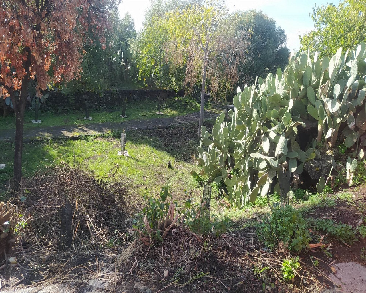 Catania città verde ma non troppo: ancora tanto da fare nei parchi per pulizia e vivibilità – FOTO