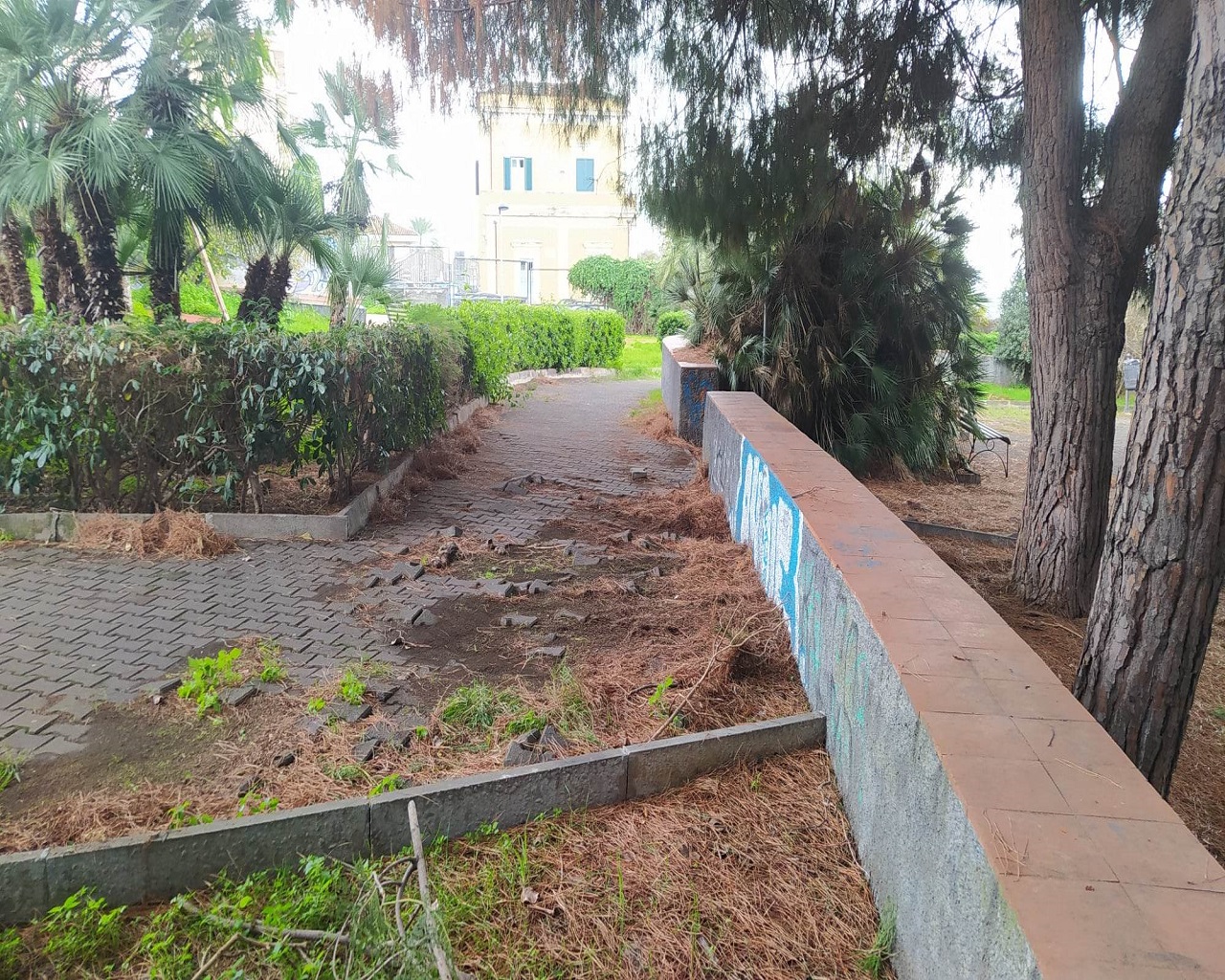 Catania città verde ma non troppo: ancora tanto da fare nei parchi per pulizia e vivibilità – FOTO