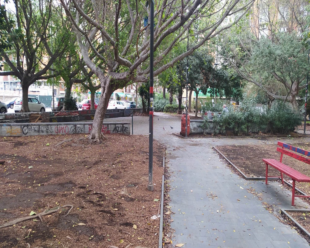 Catania città verde ma non troppo: ancora tanto da fare nei parchi per pulizia e vivibilità – FOTO