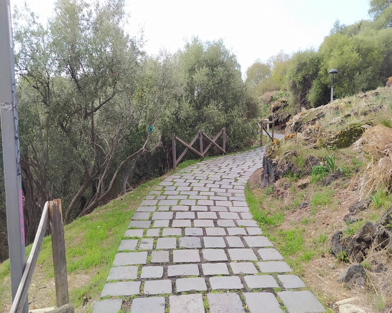 Catania città verde ma non troppo: ancora tanto da fare nei parchi per pulizia e vivibilità – FOTO