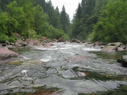 Volano da 70 metri con l’auto su un torrente: due persone salvate