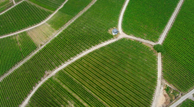 “Datemi 150 mila euro in bitcoin o vi brucio i vigneti”: arrestato