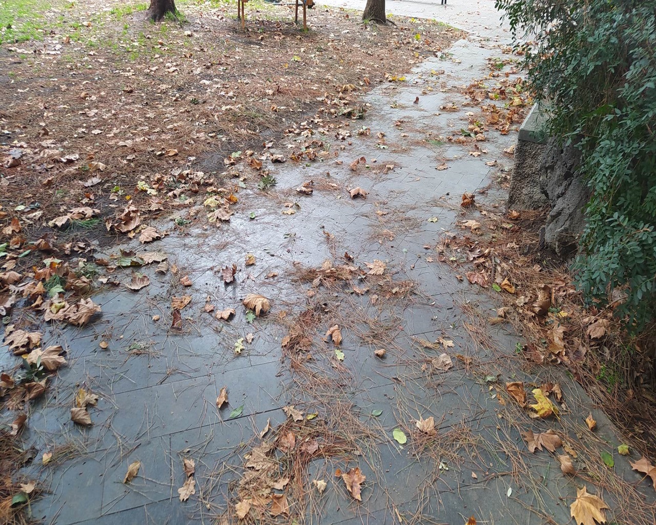 Catania città verde ma non troppo: ancora tanto da fare nei parchi per pulizia e vivibilità – FOTO